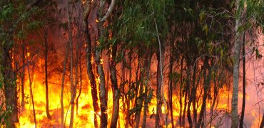 incendie voiture